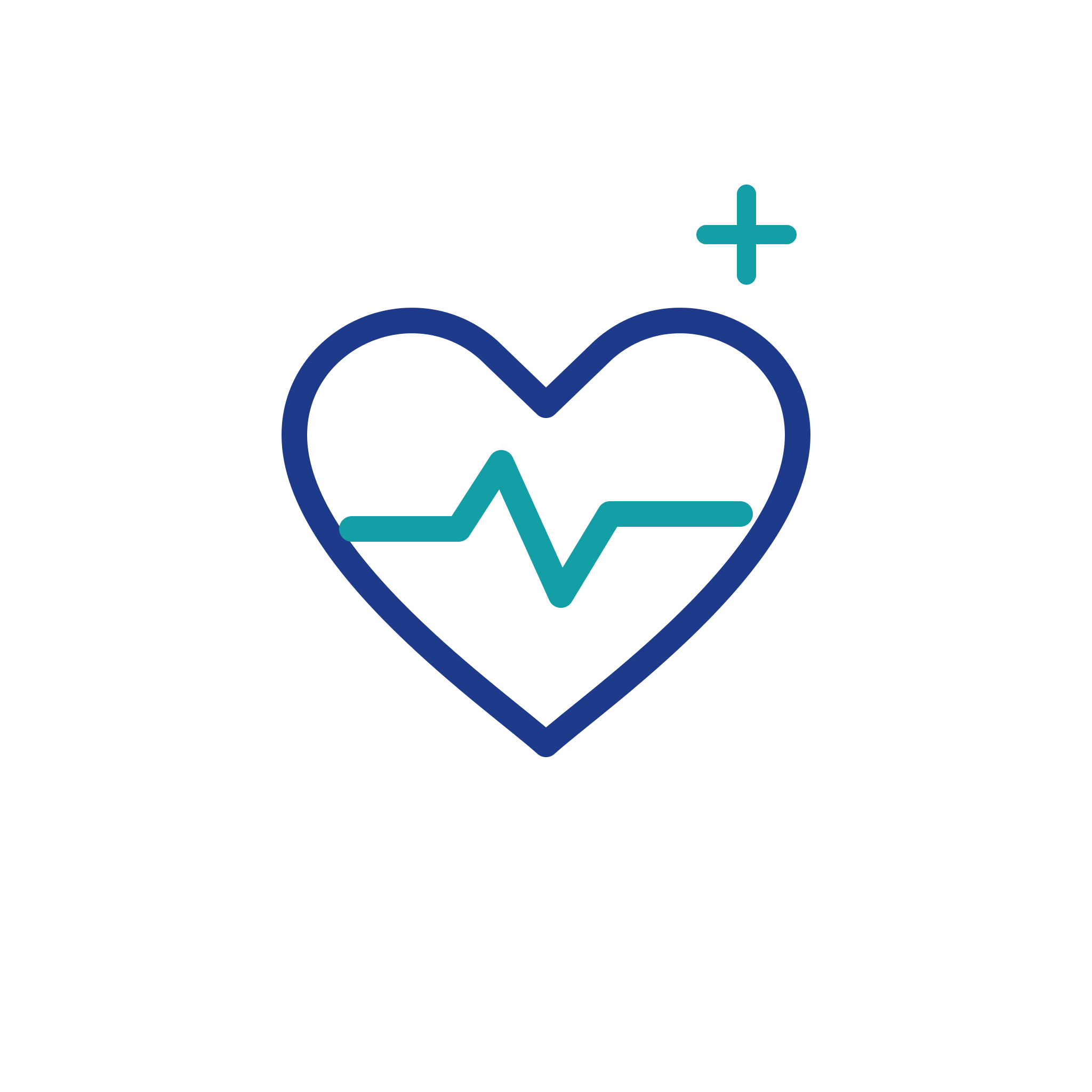 Heart with an ECG pulse and plus sign